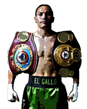 Juan Francisco Estrada image